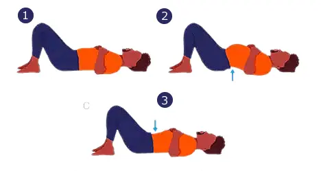3. Упражнение на гибкость нижней части спины