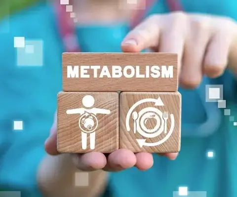 Отрегулировать метаболизм